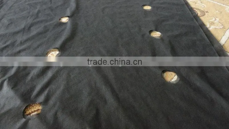 PP Woven Black Plastic Ground Cover Fabric Roll