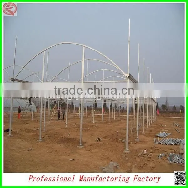 Hot sale 9.6m multi-span agricultural plastic film greenhouse with cheap price