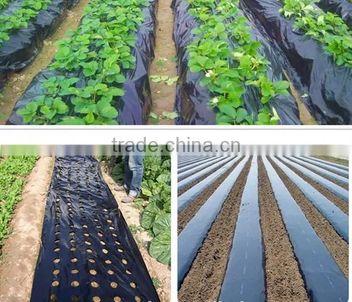 Perforated Black Agricultural Mulch Film for Weed Control