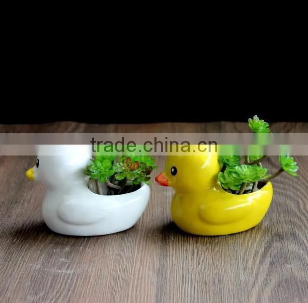 Cute mini duck ceramic pot home desktop decoration bonsai flower pots