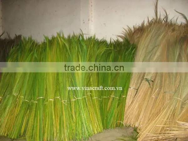 Grass broom raw material season 2017