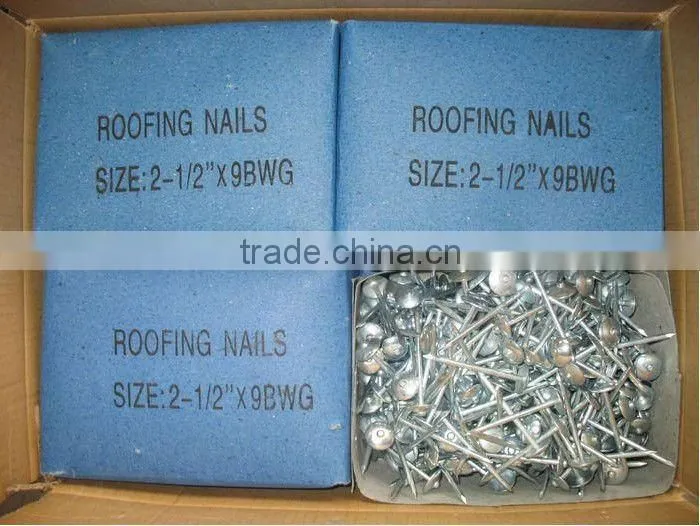 Nails roofing nails