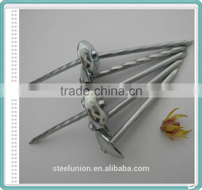 Roofing Nail/Galvanized Roofing Nail/Umbrella Head Roofing Nail