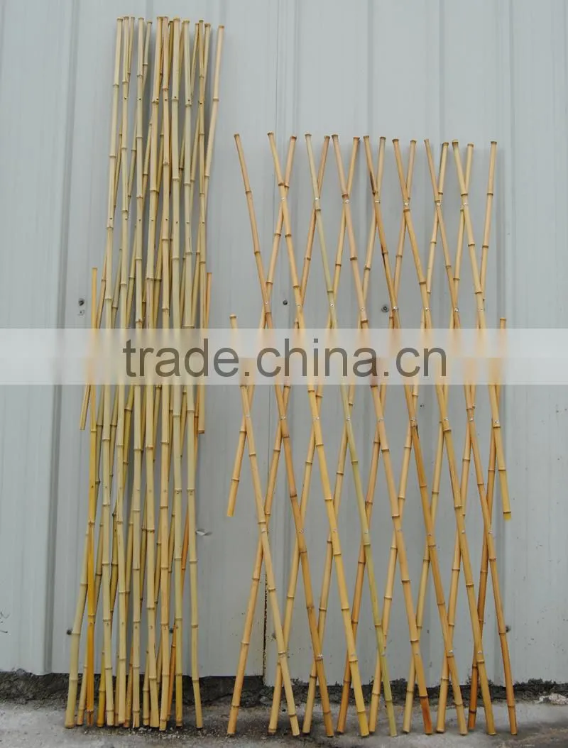 Hot rural style bamboo raw materials green garden chinese bamboo canes
