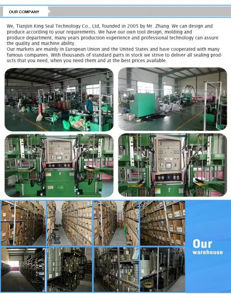 Tianjin King Seal Technology Co., Ltd company overview - view 1