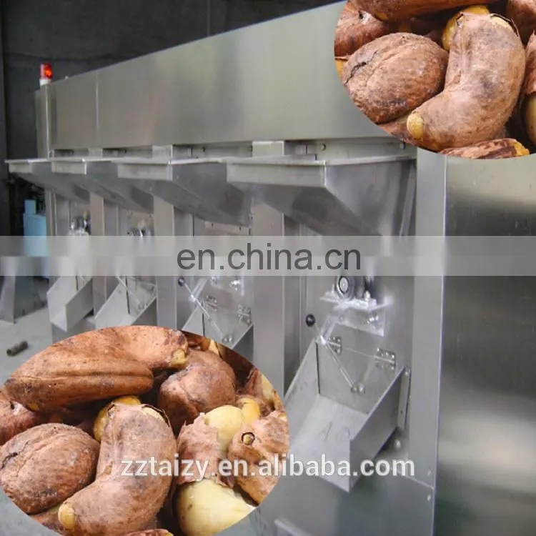 cashew nuts processing machine TAIZY 200 kg/h cashew cracking machine