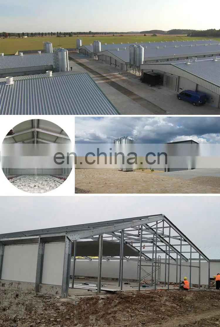 broiler chicken house poultry farming farm house with sink
