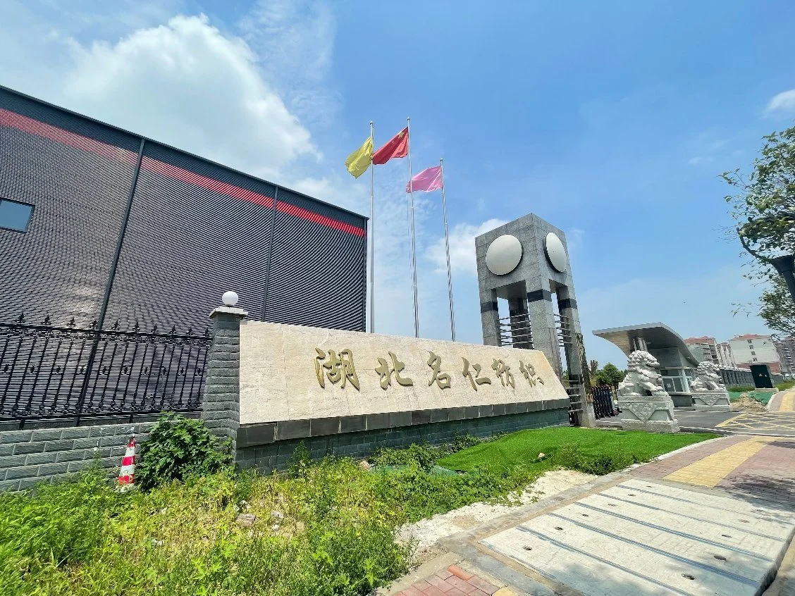 Wuhan Dasion Commerce & International Trading Co., Ltd. company overview - view 1
