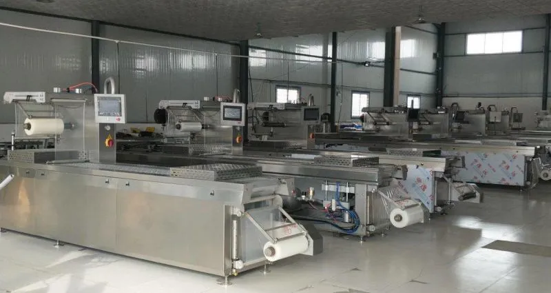 CE Approved Vacuum Packing Machine for Fruit and Vegetable,Meat,Fish,Rice,Tea Etc.
