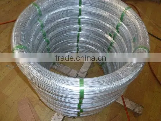 Electro Galvanized Iron Wire