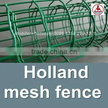 china facotry green color epoxy coated wire mesh