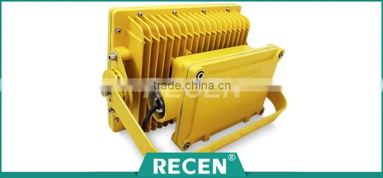 50 60 70w IP66 professional good quality Led brightest explosion-proof street light