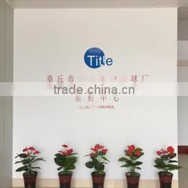 Zhangqiu Taitou Special Steel Ball Factory company overview - view 2