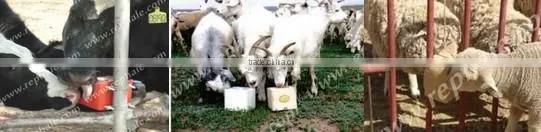 hot sell REPHALE BRAND salt licking block making machine