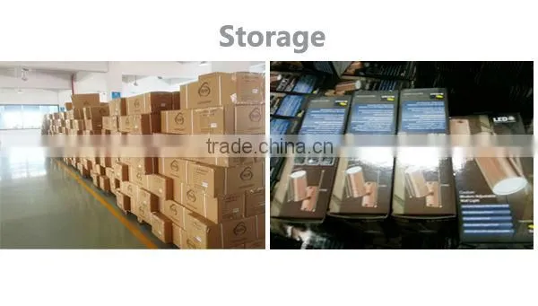 3W Garden Light LED
