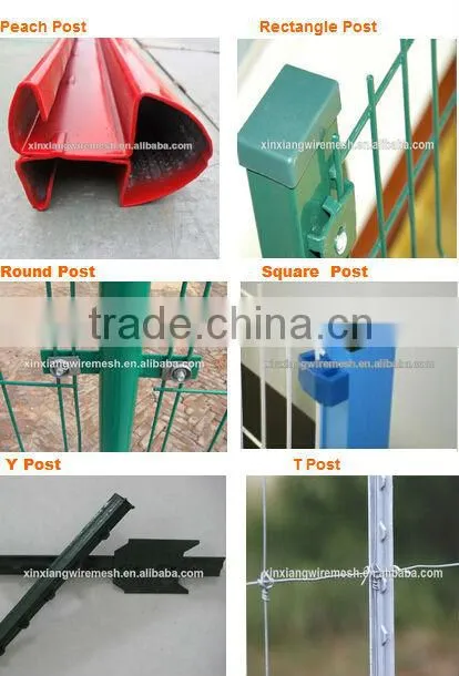 Galvanized or PVC Coated t fence Post