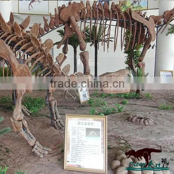 Museum Standard High Quality Dinosaur Skeleton