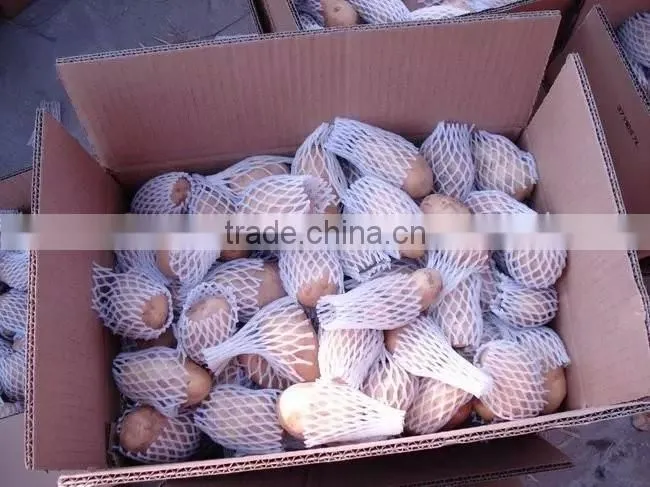 supply fresh vegetables ,high quality fresh potatoes for sale