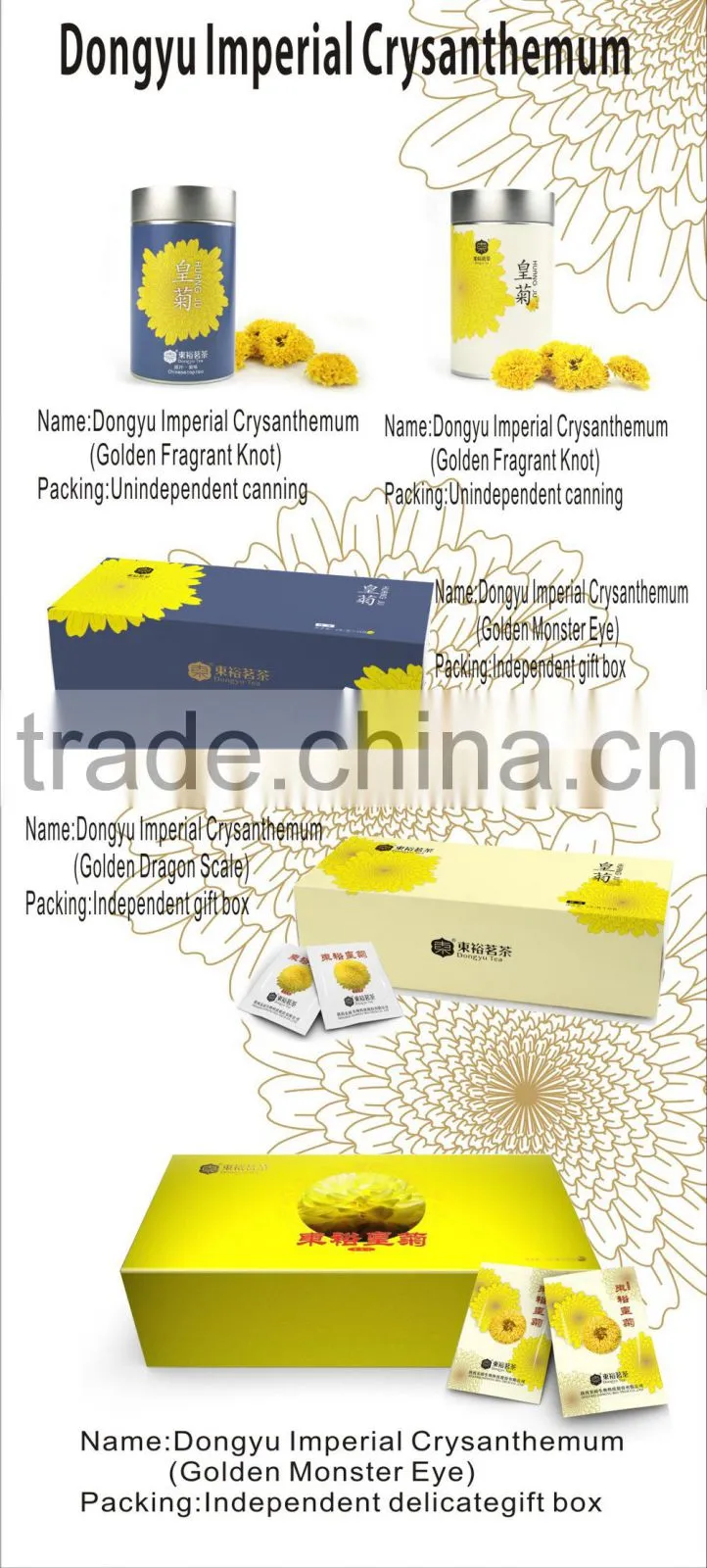 ancient Chinese medicine for herbal therapy and herbal remedy chrysanthemum