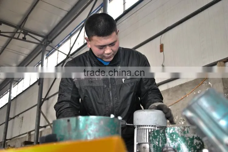 Chinese Factory Electric Construction Hoist Motor