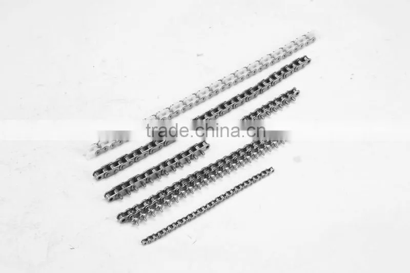 Dongsheng chain SS304 Engineering plastic inner link light-duty conveyor chains