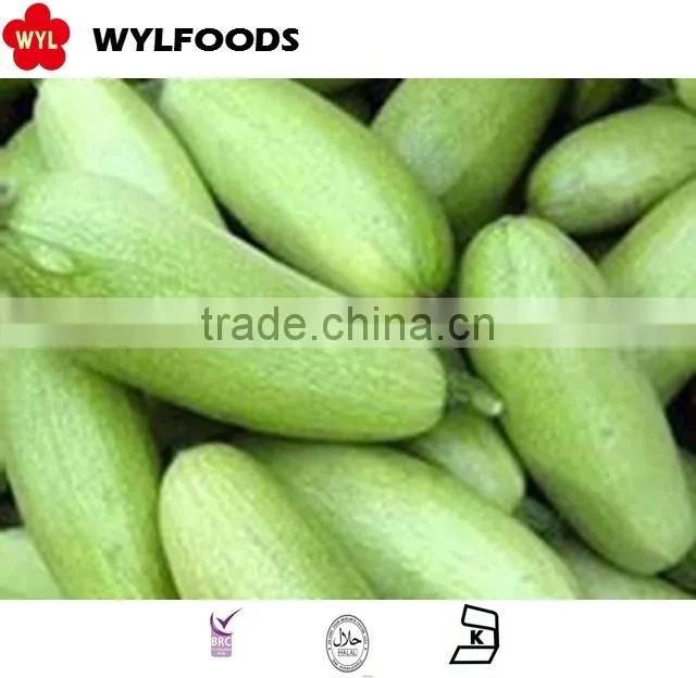 IQF 2015 high quality zucchini best price