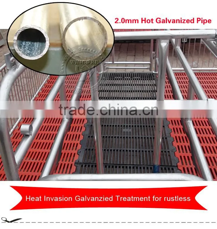 Gestation/Nursery/Farrowing crate for pigs/farrowing crate pig floor