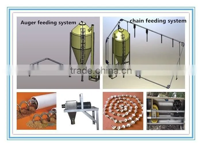 Pig Equipment pig farming systemfor Pigs