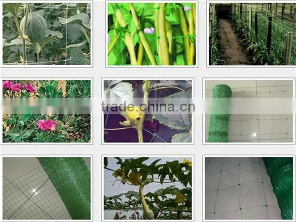 plant support net climbing support net Cucumber Trellis Net