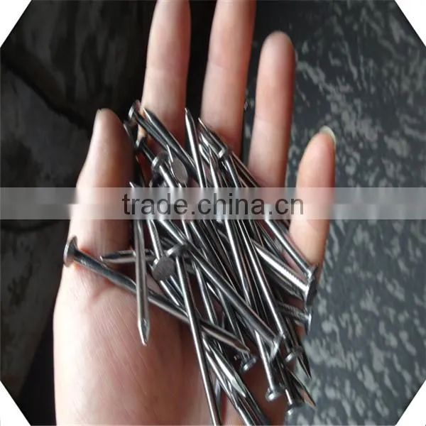 2inch common nails price / polished common nails direct factory