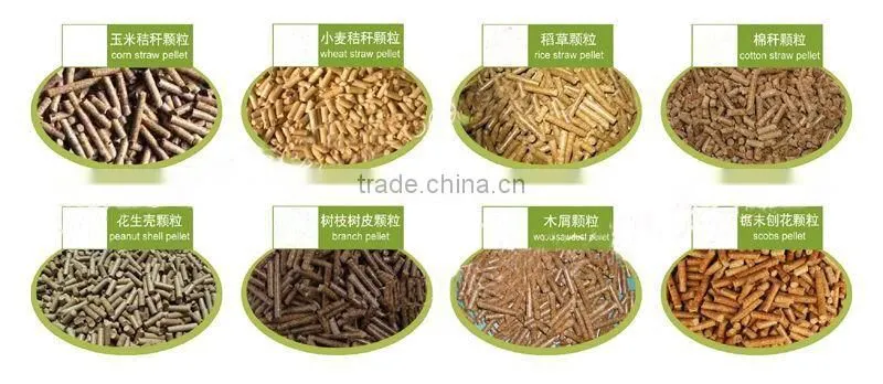 Wood Sawdust Flat Mould Pellet Machine in Feed Pellet Mill