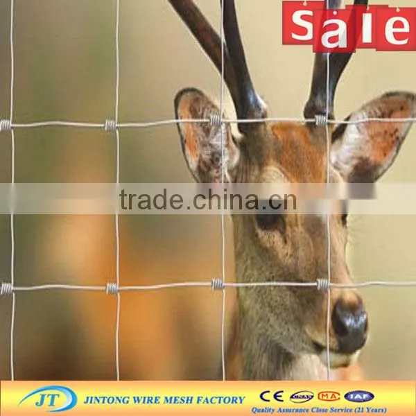 customized cheap price pvc coated cattle fence netting for sale