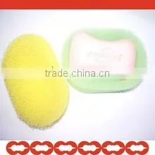 cuatomized sponge soap holder