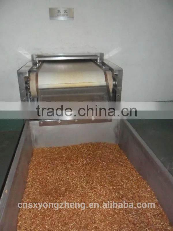 Canned Freeze Drying Mealworms