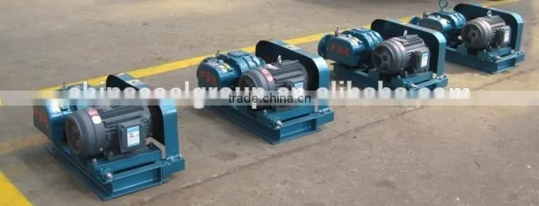 Ventilation Fan Small Roots Blower /Roots air blower