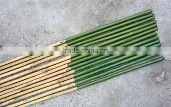 Cheap factory direct supply Agriculture garden PVC Coated pole and Color Bamboo Cane
