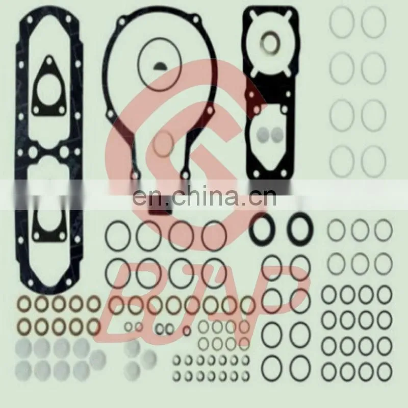 BJAP 800620 Fuel Injector Pump repair kit 80 0620