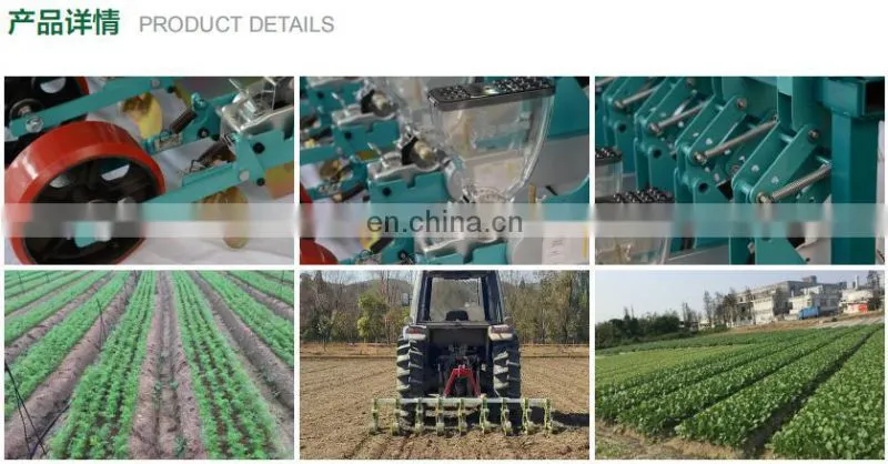 Trailed vegetable seeder