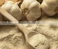 Belt vacuum powder continuous dryer for Garlic