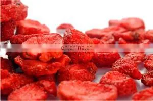 Raisin Processing equipment/fruit processing equipment