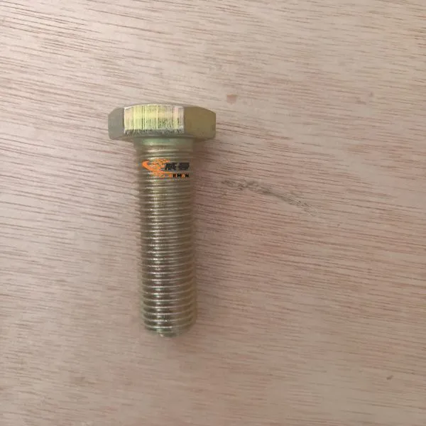 Bolt 4011000064 1.jpg