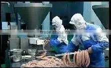 electric Sausage filler Vacuum Filler