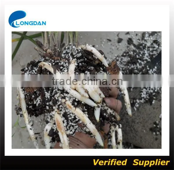 High Quality White Color Powder Diatomaceous Earth for Food