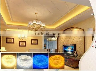 Decorating the Christmas tree waterproof IP 68 3528SMD Flexible Led Strips