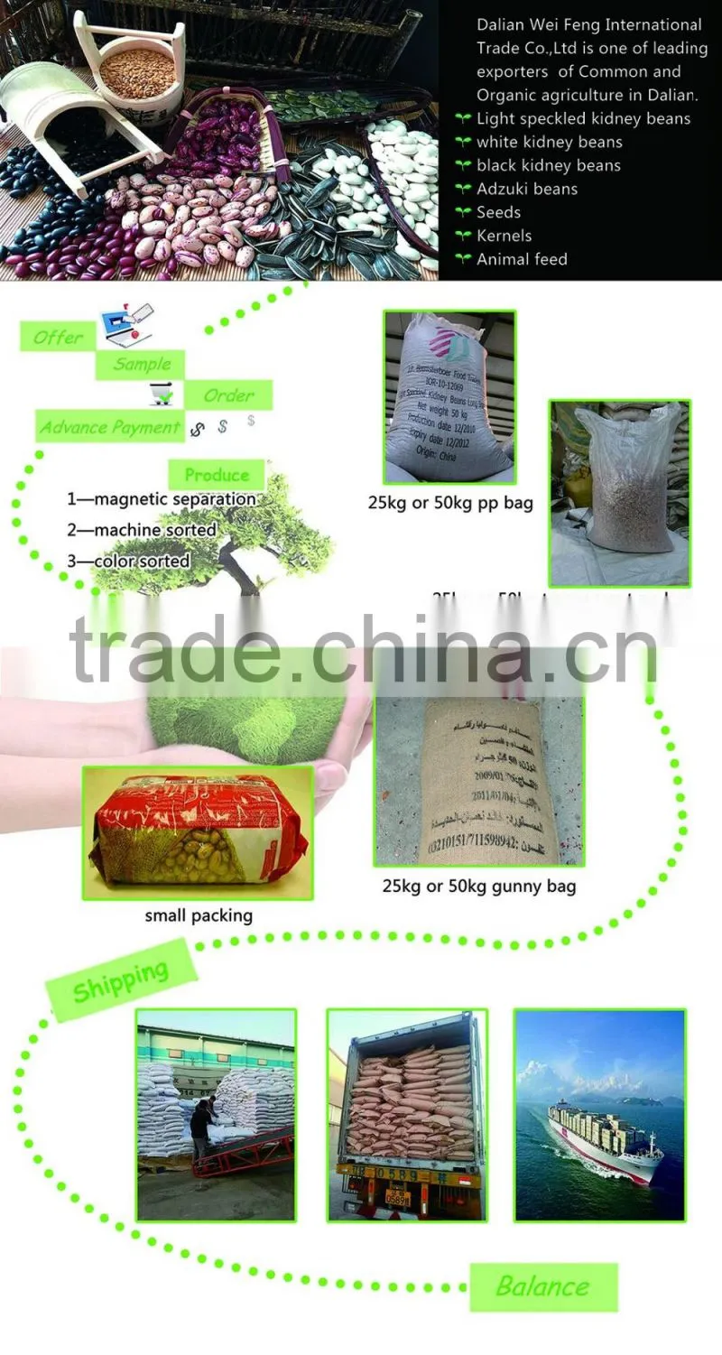 best cheap Sunflower seed 601 Get Latest Price