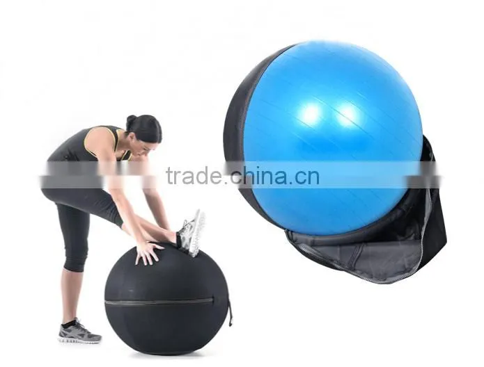 Zipper Gym Ball/ Gym Equipment/ Rack