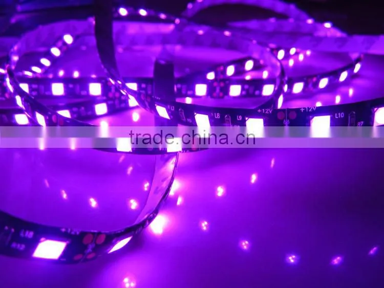 New arrival!!! SMD5050 High brightness Led Strip Light