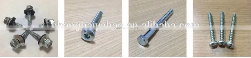 Sus 316 stainless steel hexagon socket head cap screw
