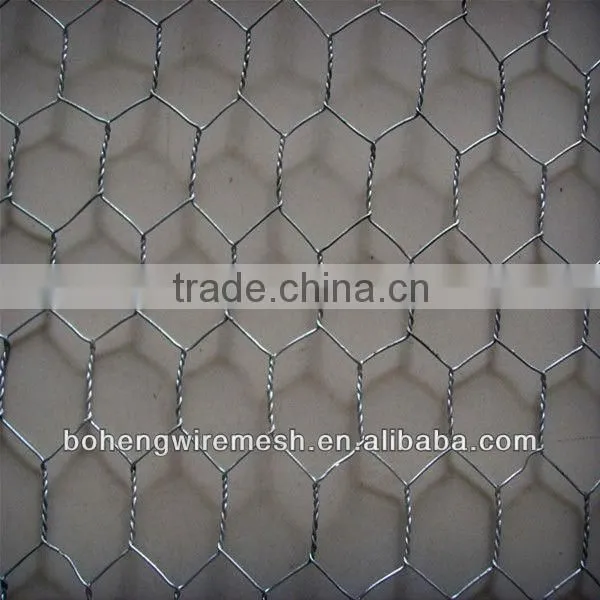Electro Galvanized Hexagonal Wire mesh