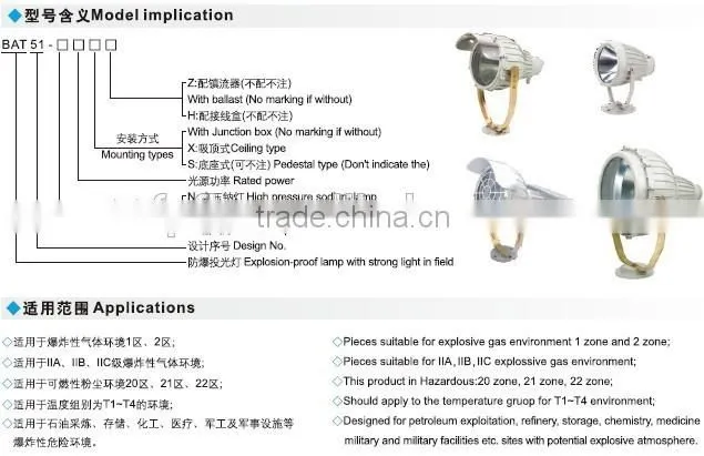 BAT51 explosion proof spotlight
